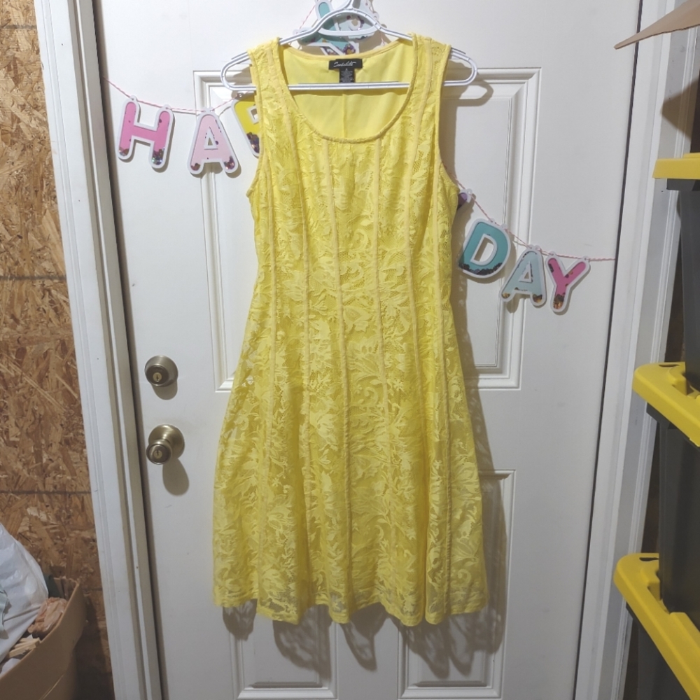 Yellow princess seam dress